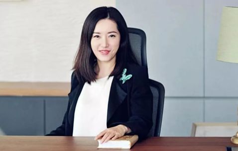 佳禾集团董事长 赵苗苗公开资料显示,在物质方面,丁宁仅给总裁张敏