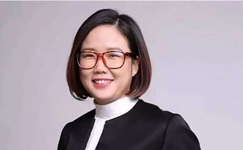 爱投资董事长 赵春霞赵苗苗,"先锋系"佳禾集团董事长(金融工场隶属